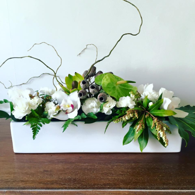 Contemporary Elegance - A stylish, modern arrangement designed with clean white and green tones and striking natural textures. Presented in a sleek container, it makes a sophisticated choice for the home, office, reception area or as a special gift.